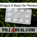 Dragon À Base De Plantes 16